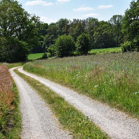 'T Buitenverblijf Erve Punte Losser Bagian luar foto