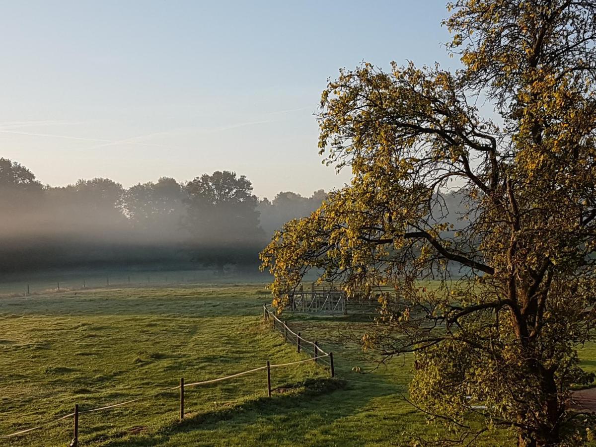 'T Buitenverblijf Erve Punte Losser Bagian luar foto