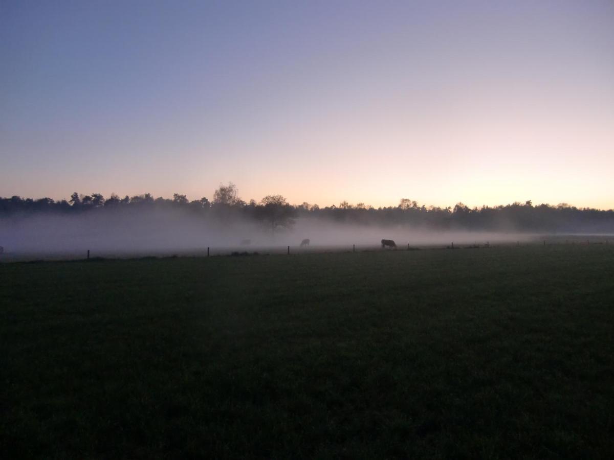 'T Buitenverblijf Erve Punte Losser Bagian luar foto