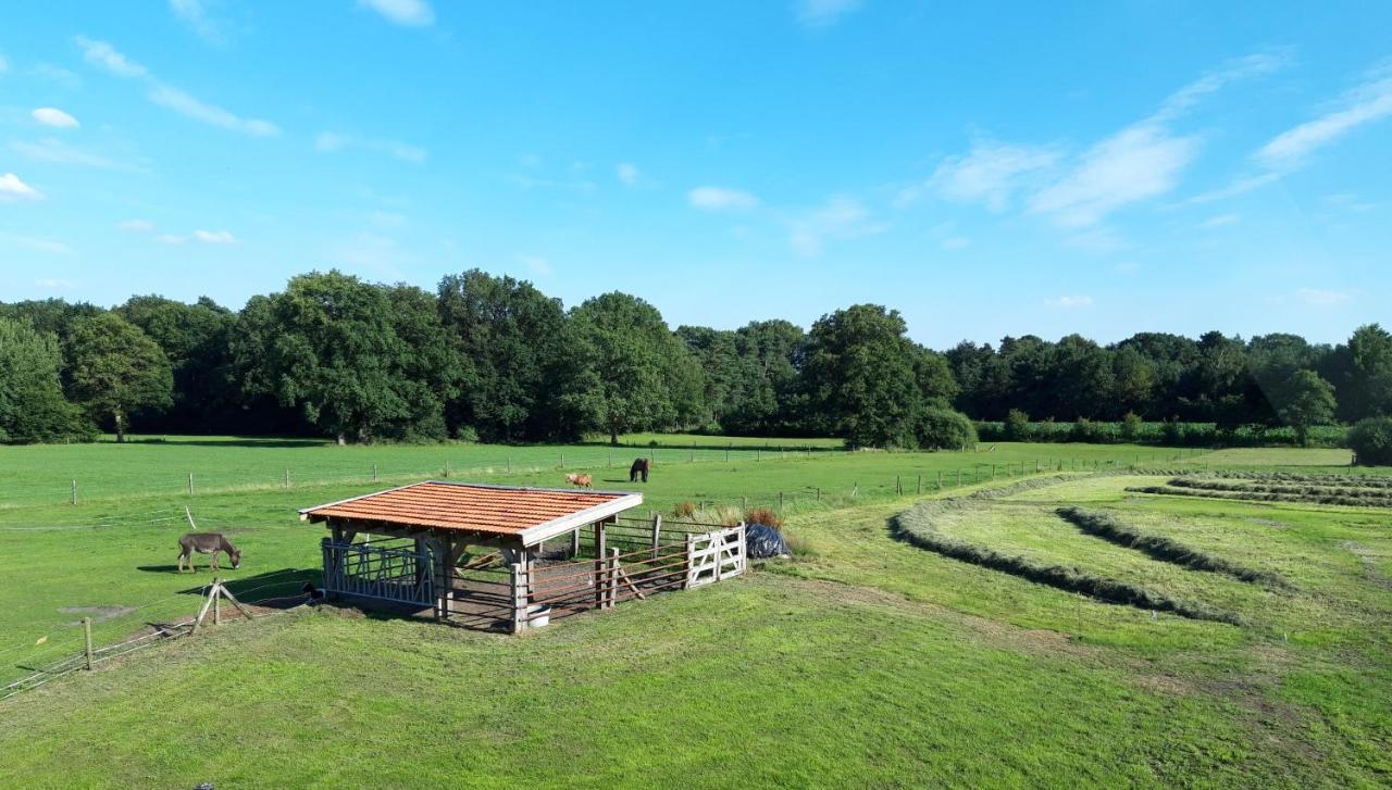 'T Buitenverblijf Erve Punte Losser Bagian luar foto