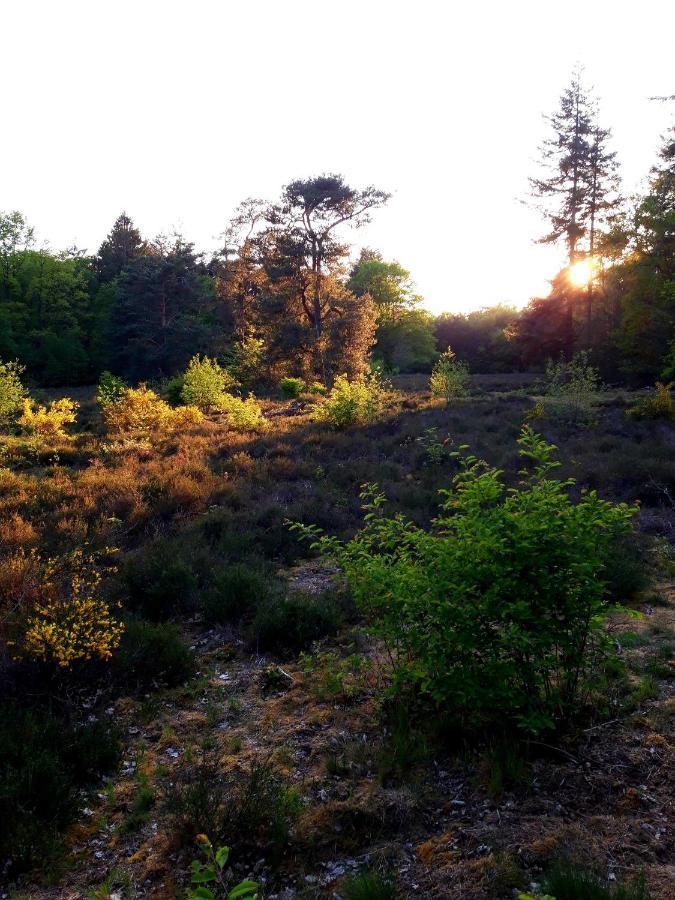 'T Buitenverblijf Erve Punte Losser Bagian luar foto