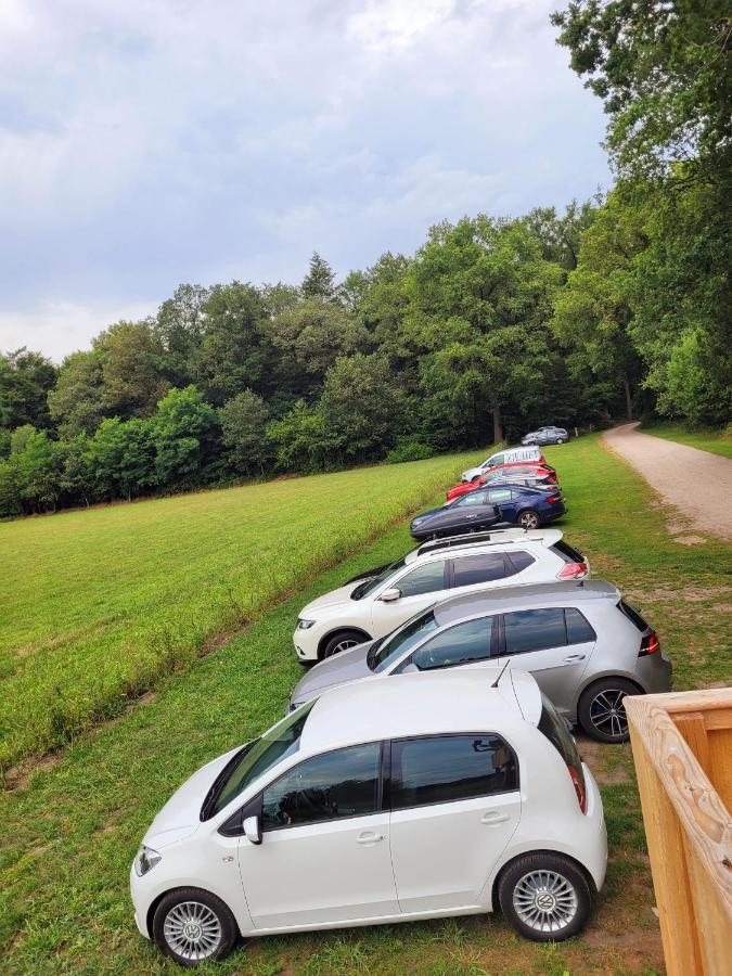 'T Buitenverblijf Erve Punte Losser Bagian luar foto