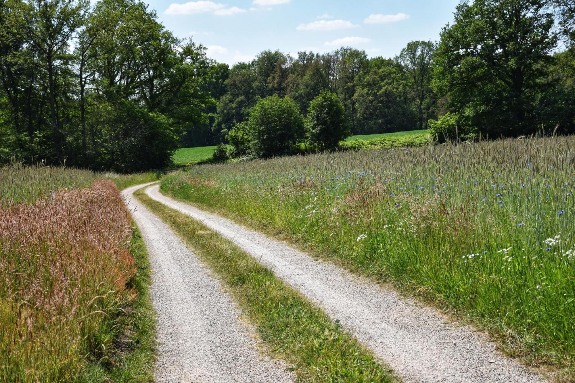 'T Buitenverblijf Erve Punte Losser Bagian luar foto
